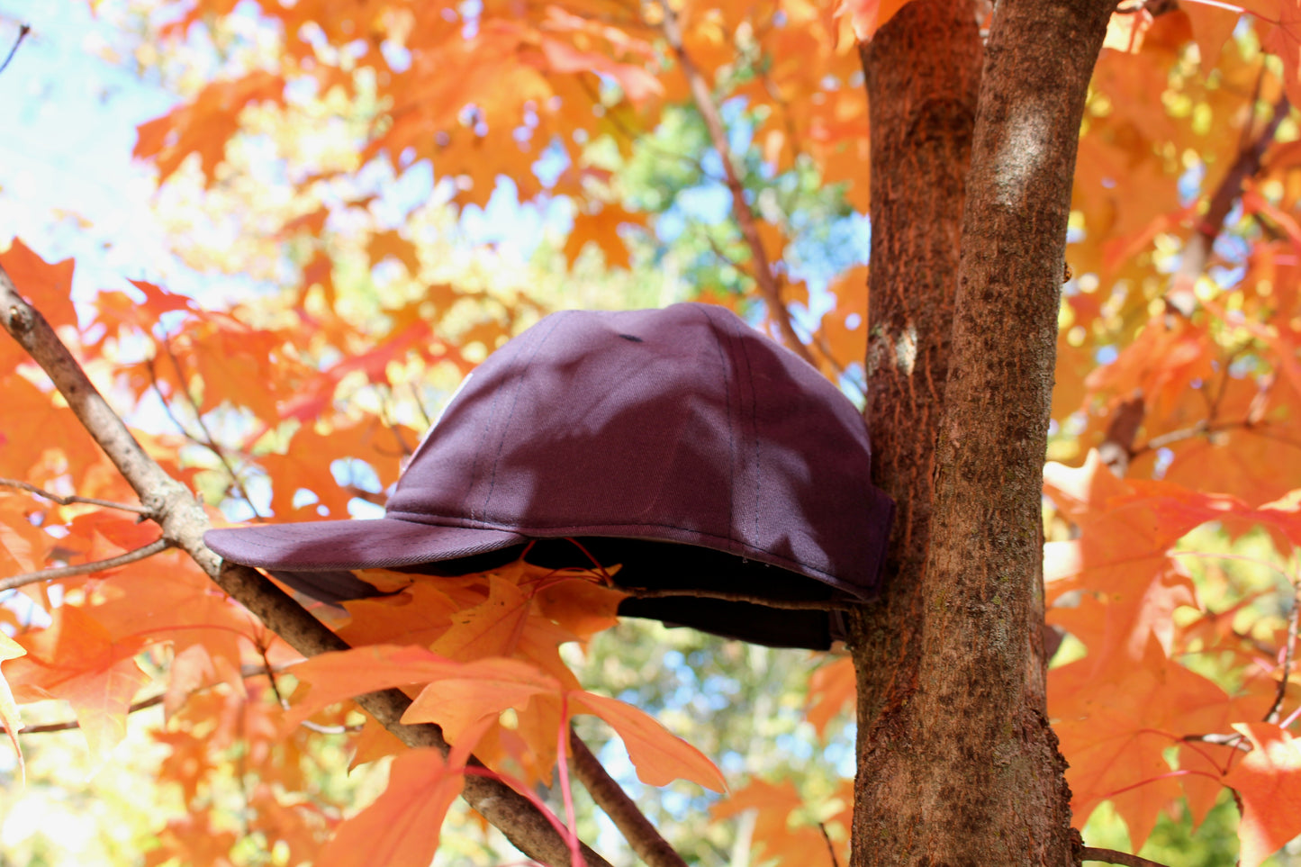 Glacial Golden - Baseball Hat