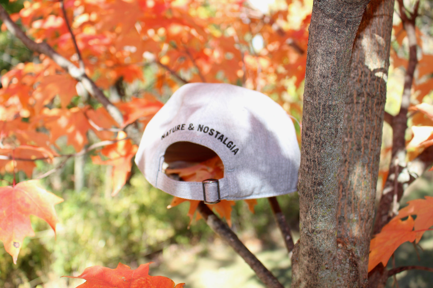 Backcountry Brittany - Baseball Hat