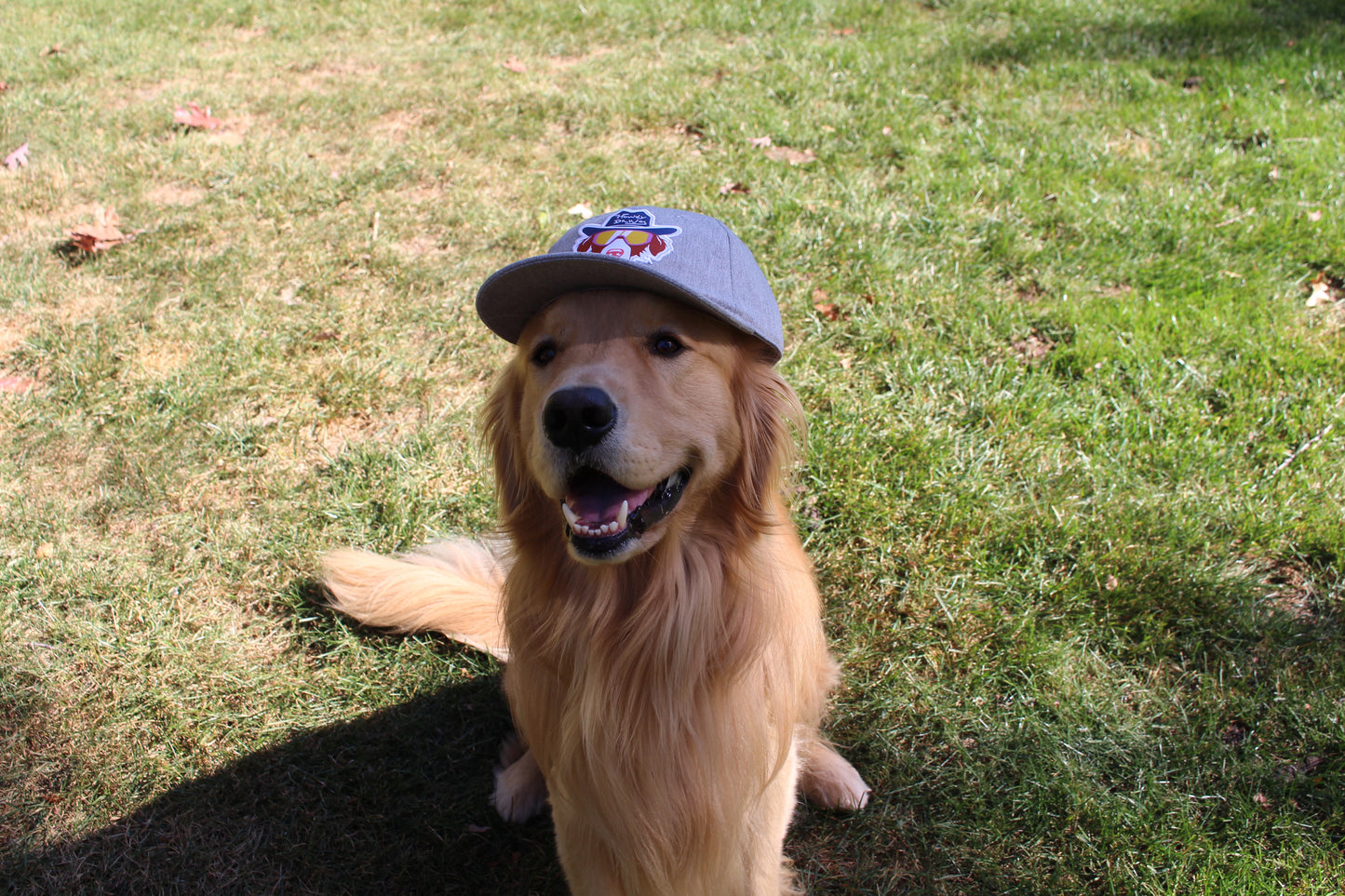 Backcountry Brittany - Baseball Hat